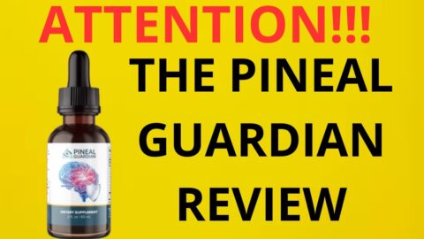 The Pineal Guardian Review