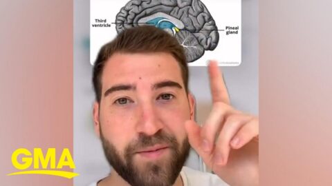 Neuroscientist reveals the truth about the third eye l GMA