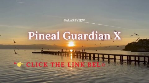 Pineal Guardian X Review – Detox & Activate Your Pineal Gland