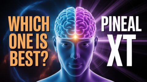 Pineal XT vs Pineal Guardian: The Truth About Decalcifying Your 3rd Eye